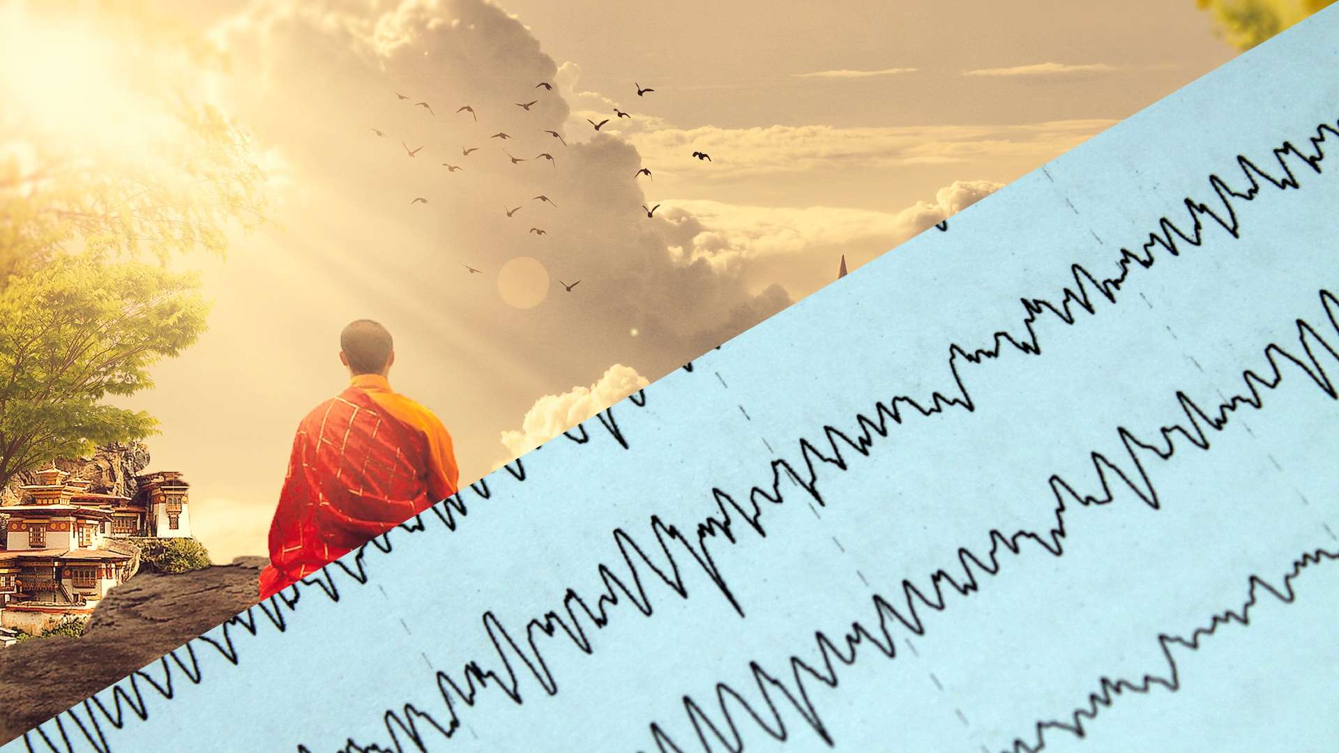 Brainwaves: The Modern Meditator’s Introduction 